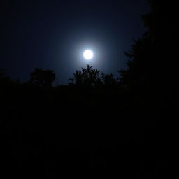 A night scene in a forest area with a full moon shining brightly in the sky