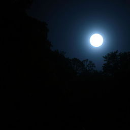 A night scene in a forest area with a full moon shining brightly in the sky