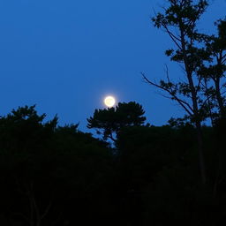 An evening scene in a forest area with a full moon rising in the sky