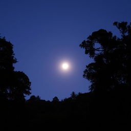 An evening scene in a forest area with a full moon rising in the sky