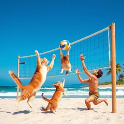 A dynamic scene of cats playing volleyball with humans on a sunny beach