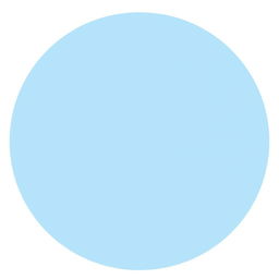 A perfect circle with a clean, smooth edge and a diameter of 201 pixels