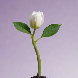 An evolved seedling showcasing a beautiful blossom unfurling from the vibrant green sprout, signifying the magical transformation of life.