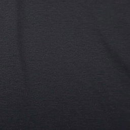 A classic black t-shirt featuring a simple yet elegant design
