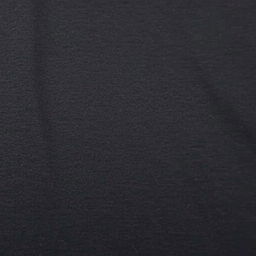 A classic black t-shirt featuring a simple yet elegant design