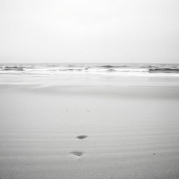 a desolate beach scene with colorless sand and ocean, an overcast sky without any color, creating a stark and artistic monochrome aesthetic, highlighting the textures of the sand and the patterns of the waves