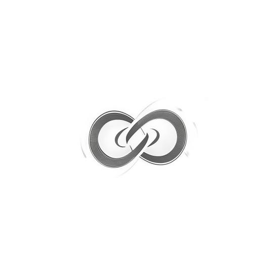 Design a logo featuring the letters 'S' and 'S' intertwining in the form of an infinity symbol, centrally enclosed within an infinity circle depicting a camera.