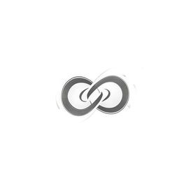 Design a logo featuring the letters 'S' and 'S' intertwining in the form of an infinity symbol, centrally enclosed within an infinity circle depicting a camera.