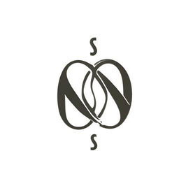 Design a logo featuring the letters 'S' and 'S' intertwined to form an infinity symbol, with the entire design enclosed in an infinity circle that also incorporates a camera.