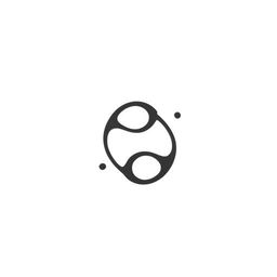 Create a logo with two 'S' letters forming an infinity symbol, wrapped within an infinity shaped circle that mimics a camera