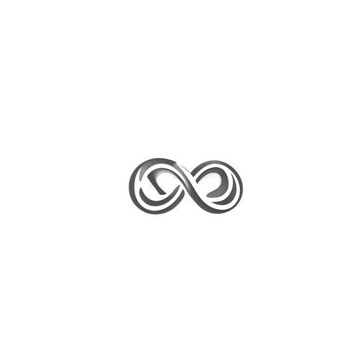 Design a logo featuring the letters 'S' and 'S' positioned on the shape of an infinity symbol, all enclosed within an infinity circle designed as a camera.