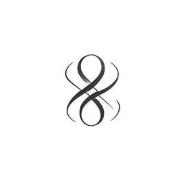 Create a logo with two 'S' letters positioned on an infinity symbol, encapsulated in an infinity-shaped circle resembling a camera.