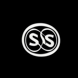 Design a logo with the letters 'S' and 'S' located on an infinity symbol, enclosed within an infinity circle that also symbolizes a camera.