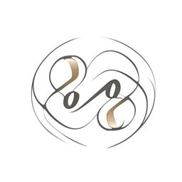 Create a logo with two 'S' letters placed on an infinity symbol, enclosed within an infinity circle that resembles a camera.