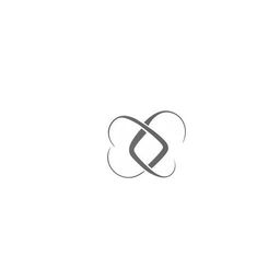 Create a logo with two 'S' letters placed on an infinity symbol, enclosed within an infinity circle that resembles a camera.