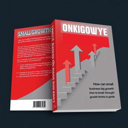 A book cover for 'Infinite Growth: Big Strategies for Small Businesses'