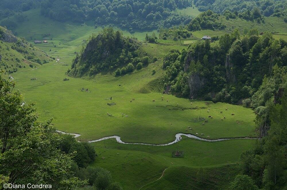 Explore the rich history, culture, and natural beauty of Romania with this quiz!