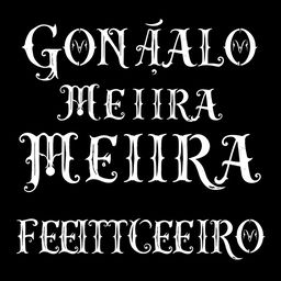 The text 'GONÇALO MEIIRA FEITICEIRO' displayed in an elegant, detailed font, with white letters against a sleek black background