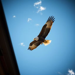 Majestic eagle soaring through a clear blue sky, its powerful wings outstretched