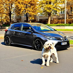 Modified Toyota Auris E15 with glossy black wheels, parked in a sunny urban setting