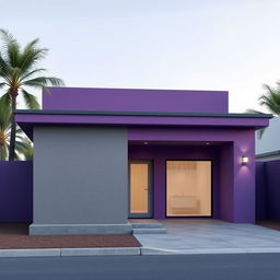 Design of a minimalist single-story house facade, 30 feet in width and 9 feet in height