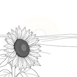 A serene line art cover featuring a sunflower at dawn