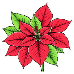 Illustration of a Poinsettia flower featuring vibrant red petals and lush green leaves, finely outlined with black contours, set against a white background