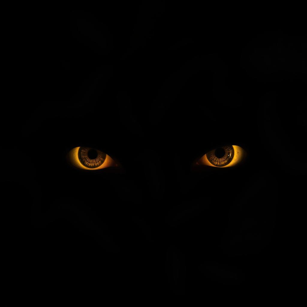 a pair of mysterious, glowing eyes peering through the darkness, surrounded by shadows, conveying a sense of mystique and curiosity, dramatic lighting highlighting the contours around the eyes, creating a focused and intense atmosphere