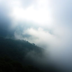 Misty mountains of the Black Sea region, enveloped in a serene blanket of fog