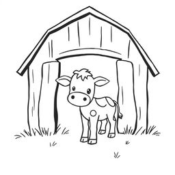 A charming black and white drawing of a curious calf exploring a barn, set against a clean white background