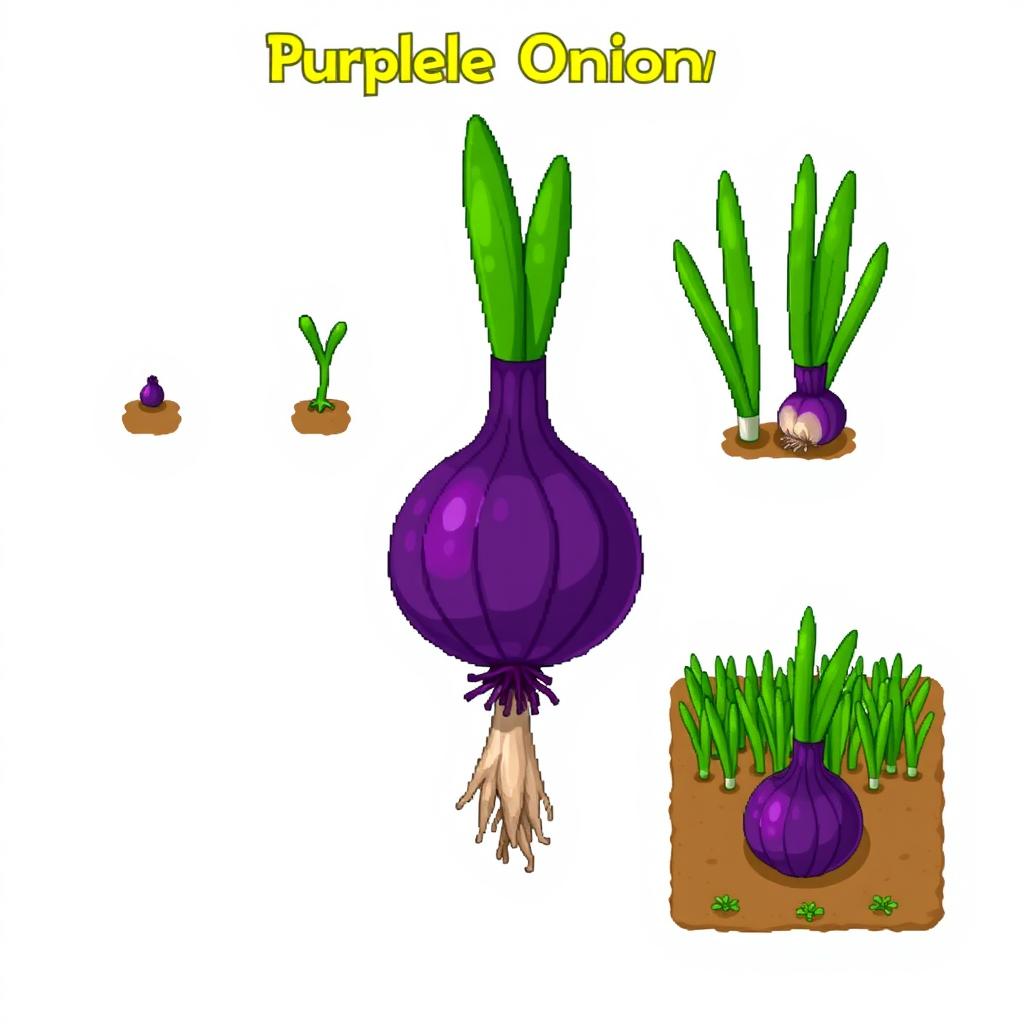 An illustrated depiction of the growth phases of a purple onion crop from the game Stardew Valley