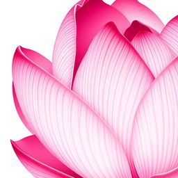 A close-up, detailed illustration of a vibrant pink flower, resembling a lotus blossom in full bloom