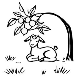 A simple black and white drawing of a young goat comfortably resting under the shade of a fruit tree