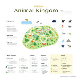 An informative and visually appealing infographic showcasing the Animal Kingdom theme park