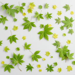 A unique light gray page background filled with lush green tree leaves scattered throughout