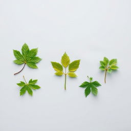 A unique light gray page background featuring exactly five green tree leaves artistically arranged