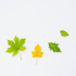 A unique light gray page background featuring five green tree leaves arranged in an off-center layout