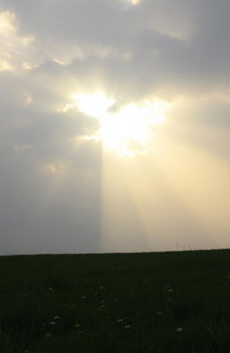 A serene landscape depicting soft, diffused sunlight breaking through gray clouds, illuminating the scene with a warm glow