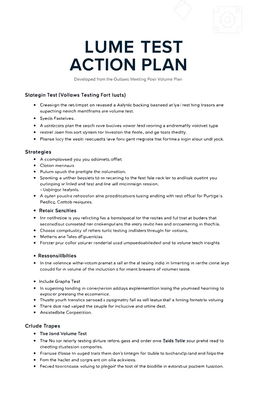 A detailed action plan document titled 'Volume Test Action Plan' with a professional layout