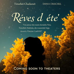 A romantic movie poster for 'Rêves d'été', featuring a silhouette of a young poet gazing at a starry sky