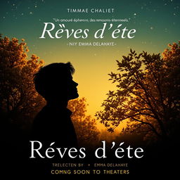 A romantic movie poster for 'Rêves d'été', featuring a silhouette of a young poet gazing at a starry sky