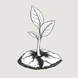 A hand-drawn black and white illustration of a sprout emerging from the soil, symbolizing new beginnings and the potential for growth