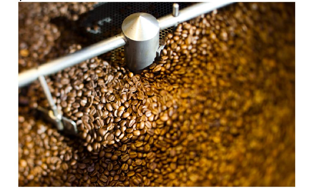 Dive into the world of Storyville Coffee and discover the perfect product tailored just for you! Whether you're a brewing expert or a casual coffee lover, this quiz will guide you to your ideal match.