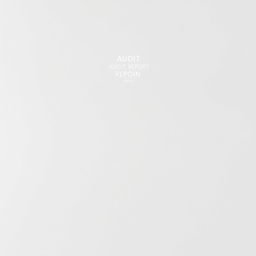 A minimalist cover page for an audit report, featuring a smooth and clean design