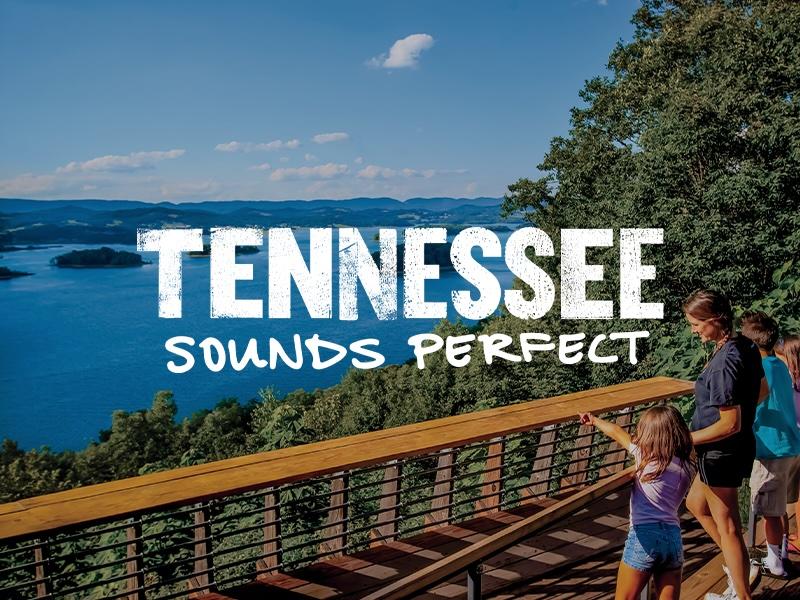 Discover your ideal Tennessee experience by exploring your preferences through this fun and engaging quiz!