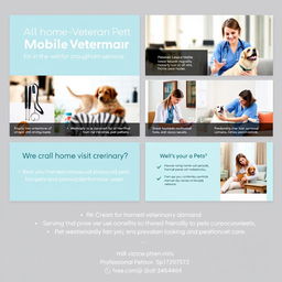 A professional veterinary presentation slide design for a mobile veterinarian service, featuring a warm and welcoming layout with images of a friendly veterinarian interacting gently with pets in their homes