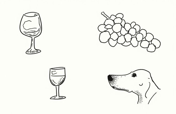 A sketchy hand-drawn illustration featuring a loose and expressive style, showcasing a wineglass with a wobbly outline, giving it a playful character