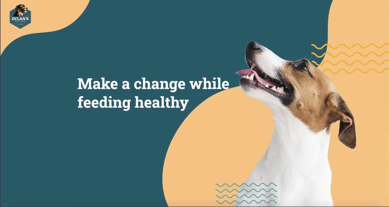 Discover which nutritious and delicious dog food from Dylan's Pet Food aligns with your pup's dietary needs and preferences!