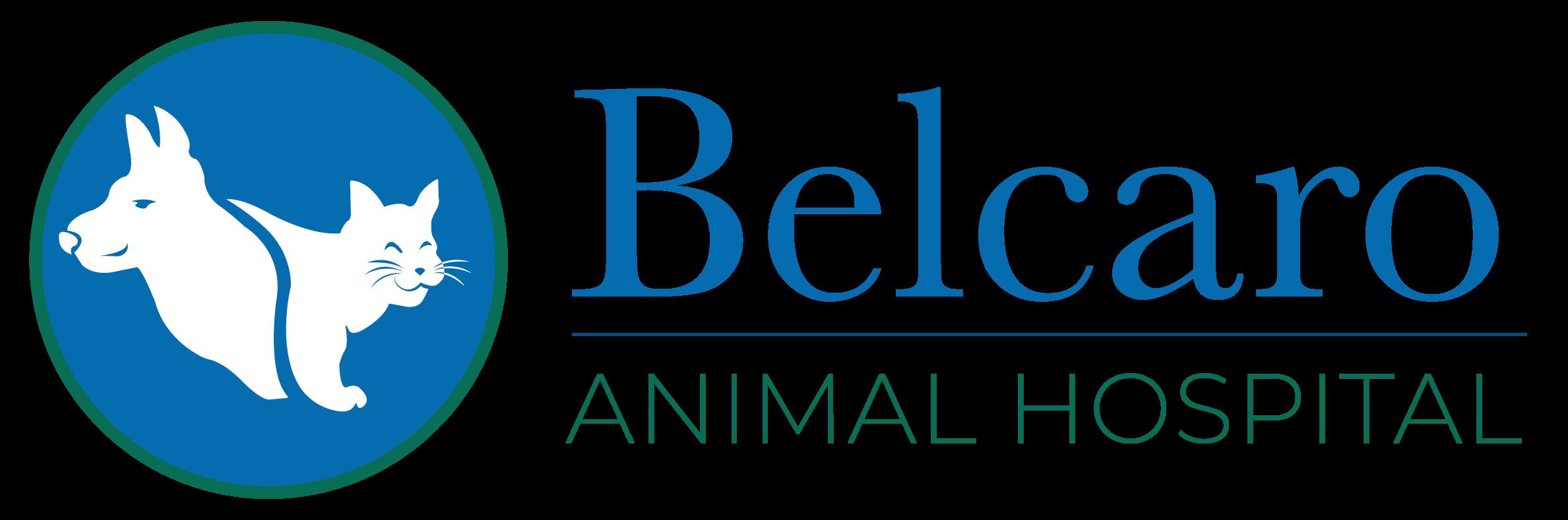Discover the best products and services tailored for your furry friend at Veterinary Care in Denver, CO | Belcaro Animal Hospital.