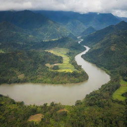 Vibrant overview of Napo Province in Ecuador, highlighting lush rainforests, sparkling rivers, and local traditions